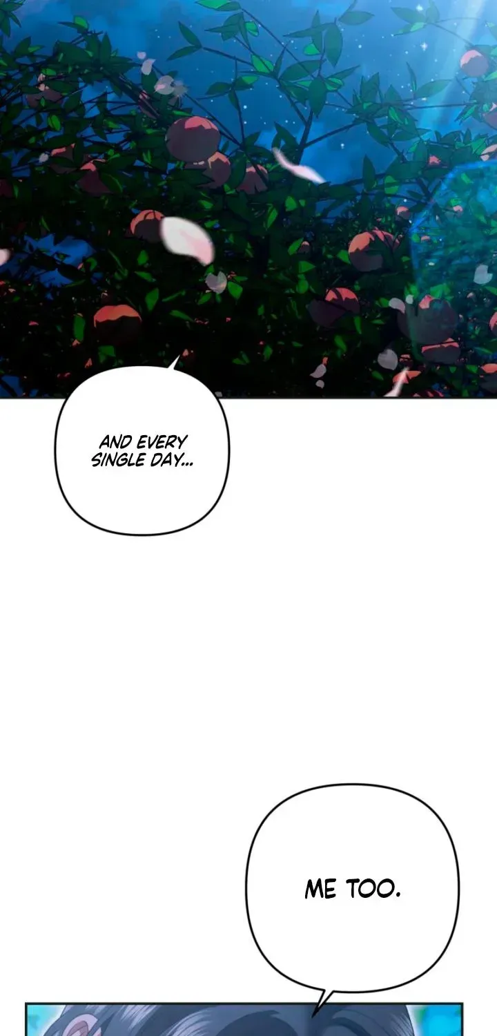 ddf0dd18213c 54 webp