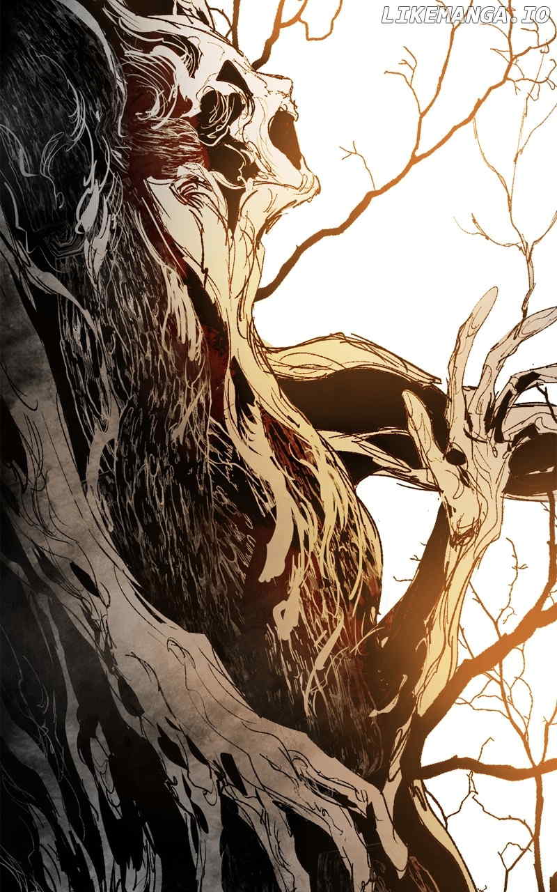 ch 113 43
