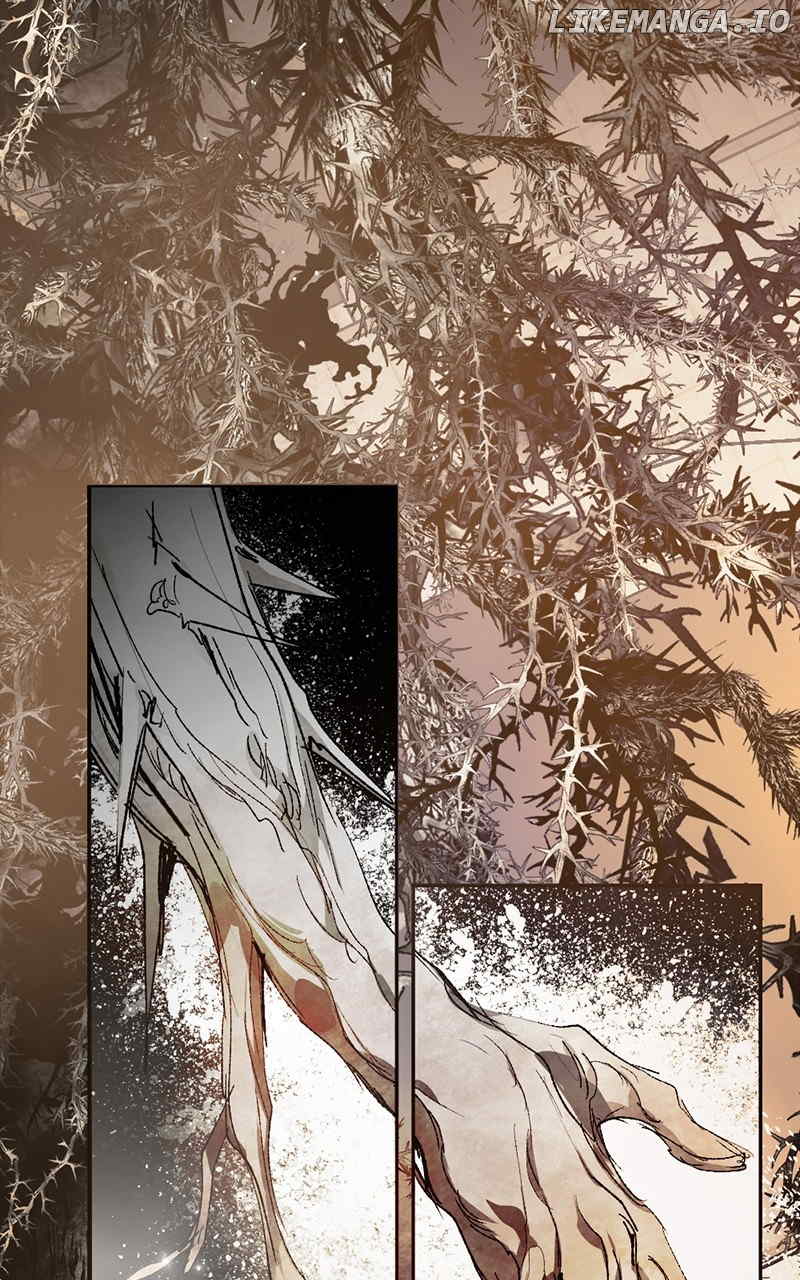 ch 113 94