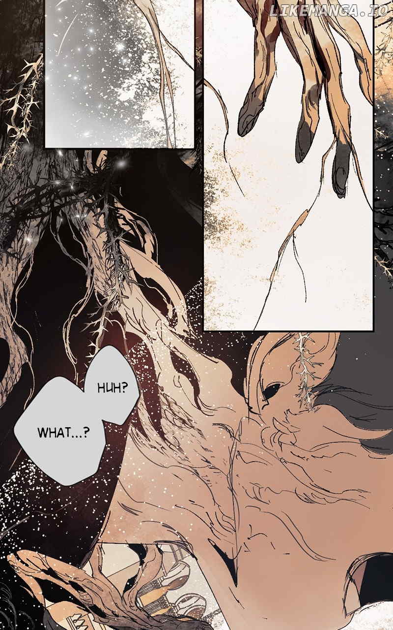ch 113 95