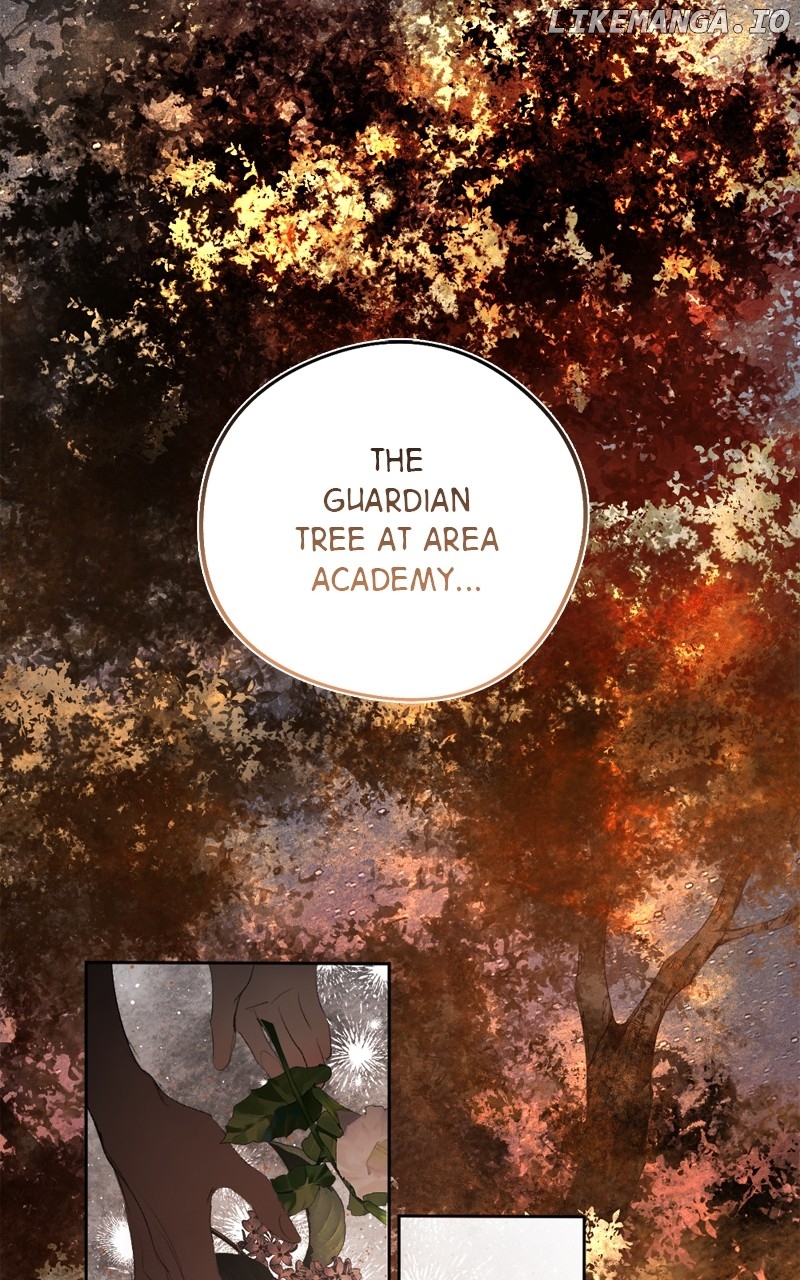 ch 114 117