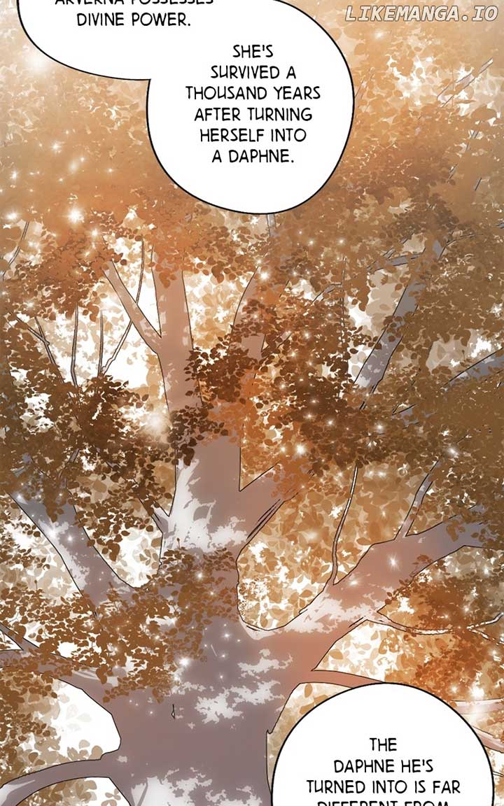 ch 115 32