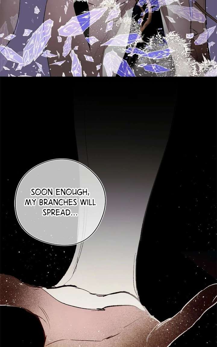 ch 136 97