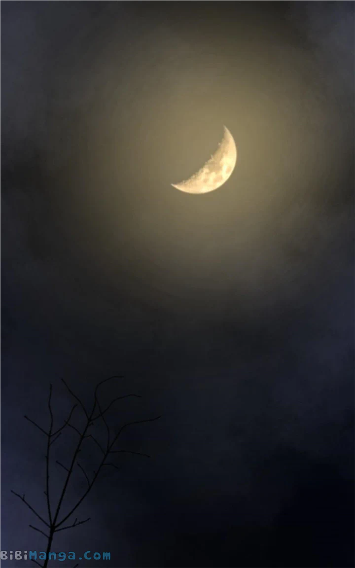 Like A Wind On A Dry Branch Chapter 157 467 085