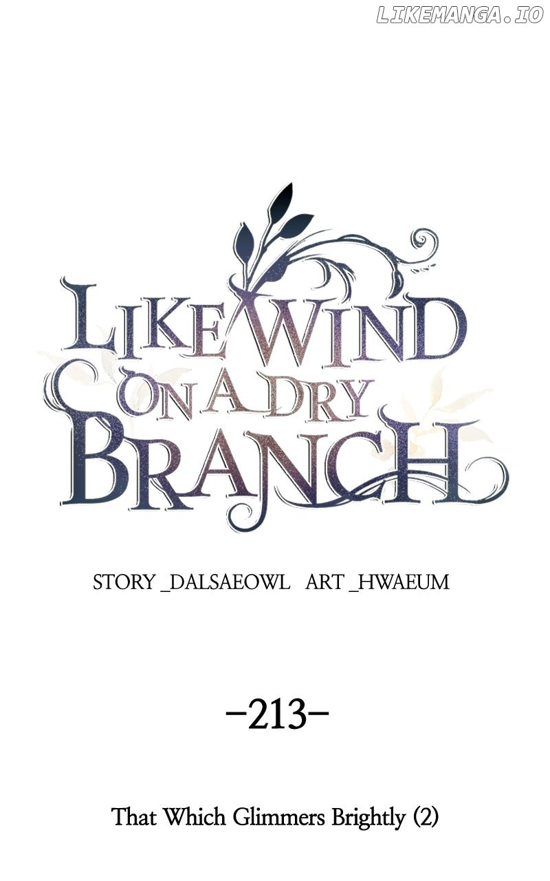 ch 213 1