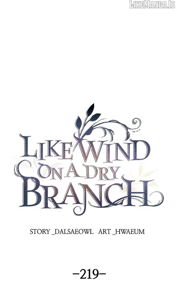 Like A Wind On A Dry Branch Chapter 219 527 001
