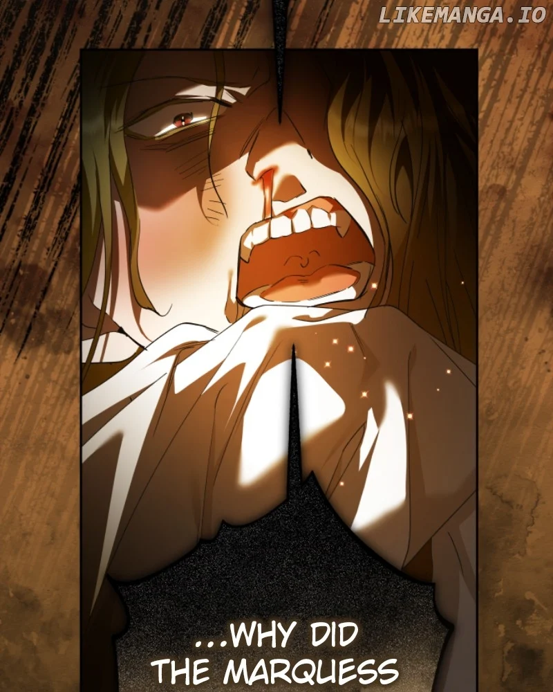 ch 243 11