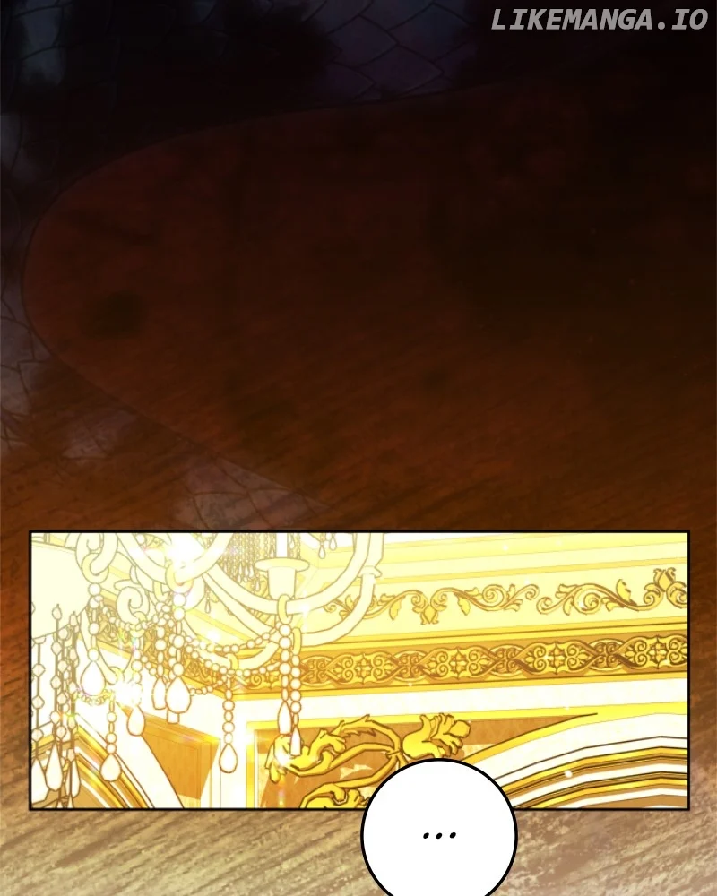 ch 243 93