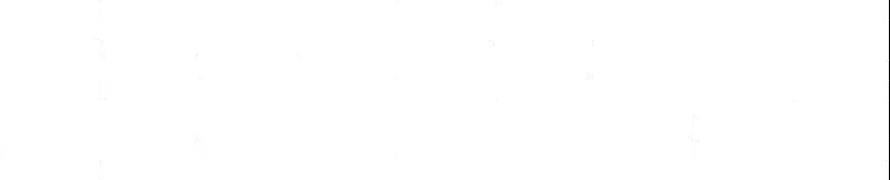 113
