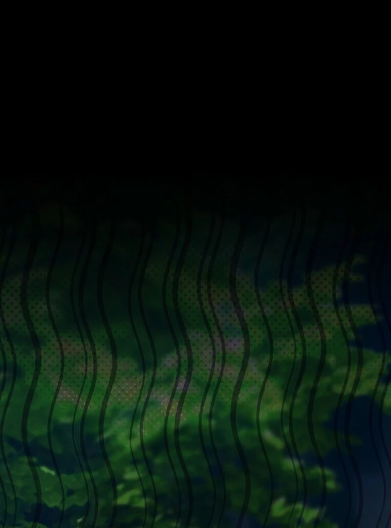 020