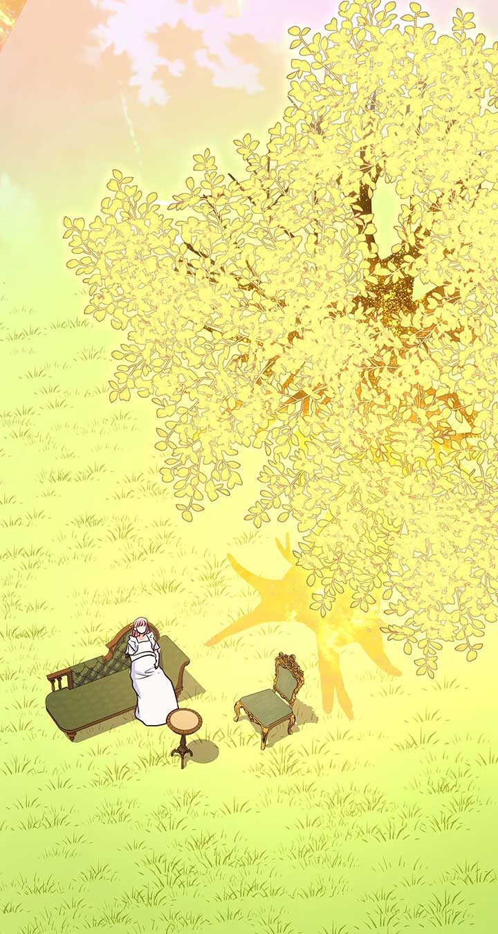 ch 55 65