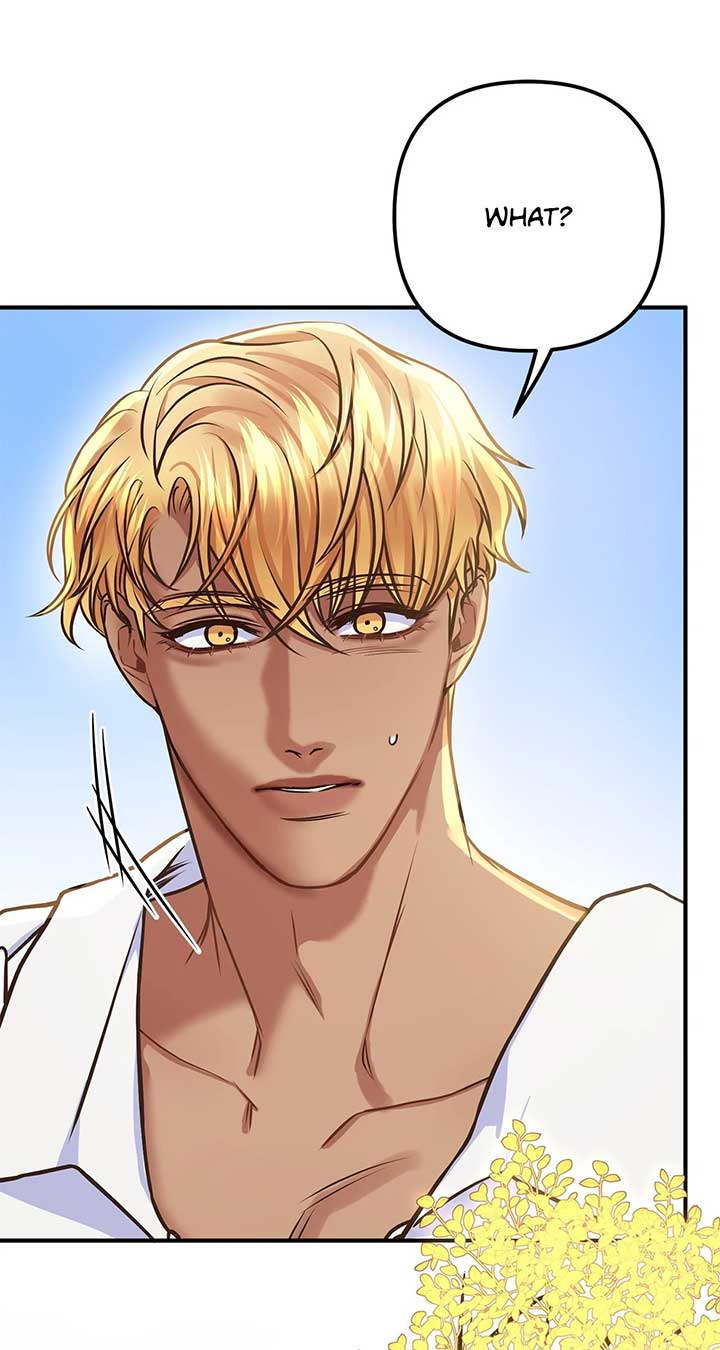 ch 55 96