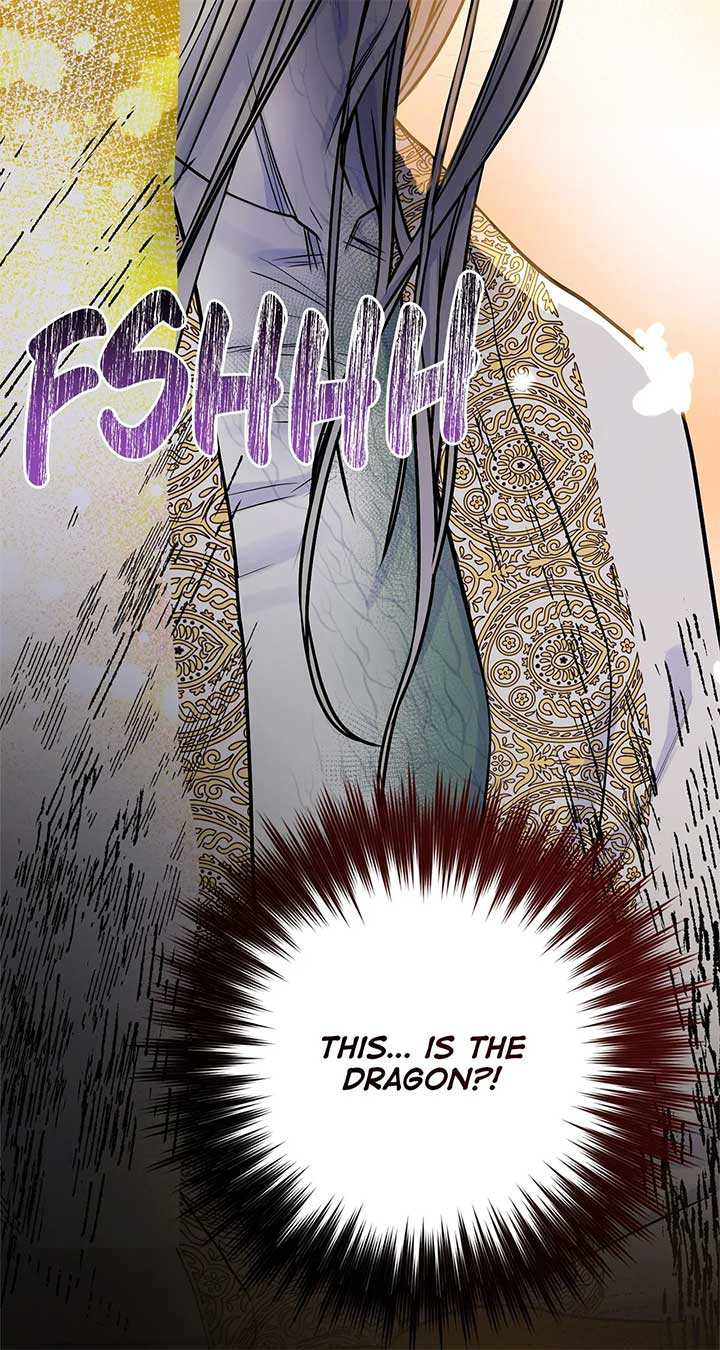 ch 66 46