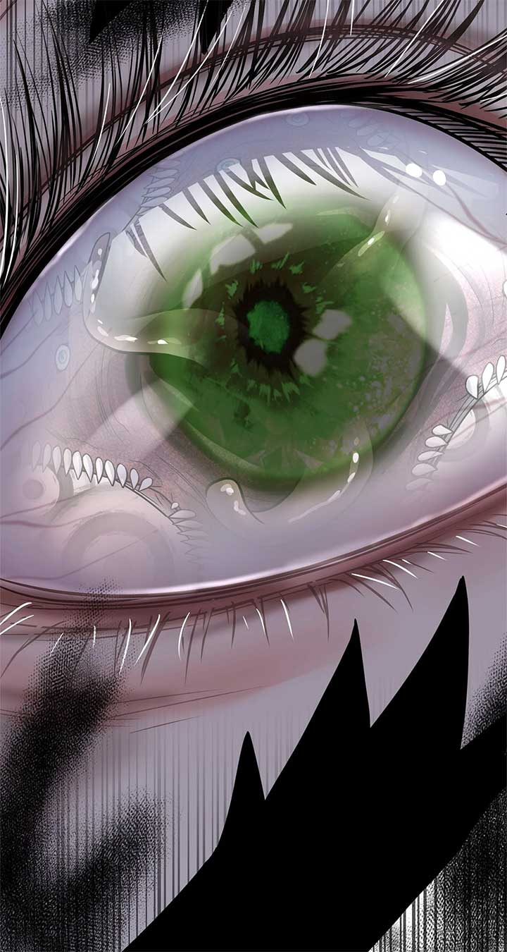 ch 66 88