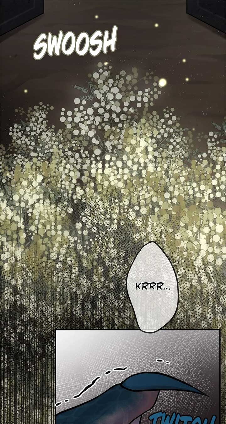 ch 71 79