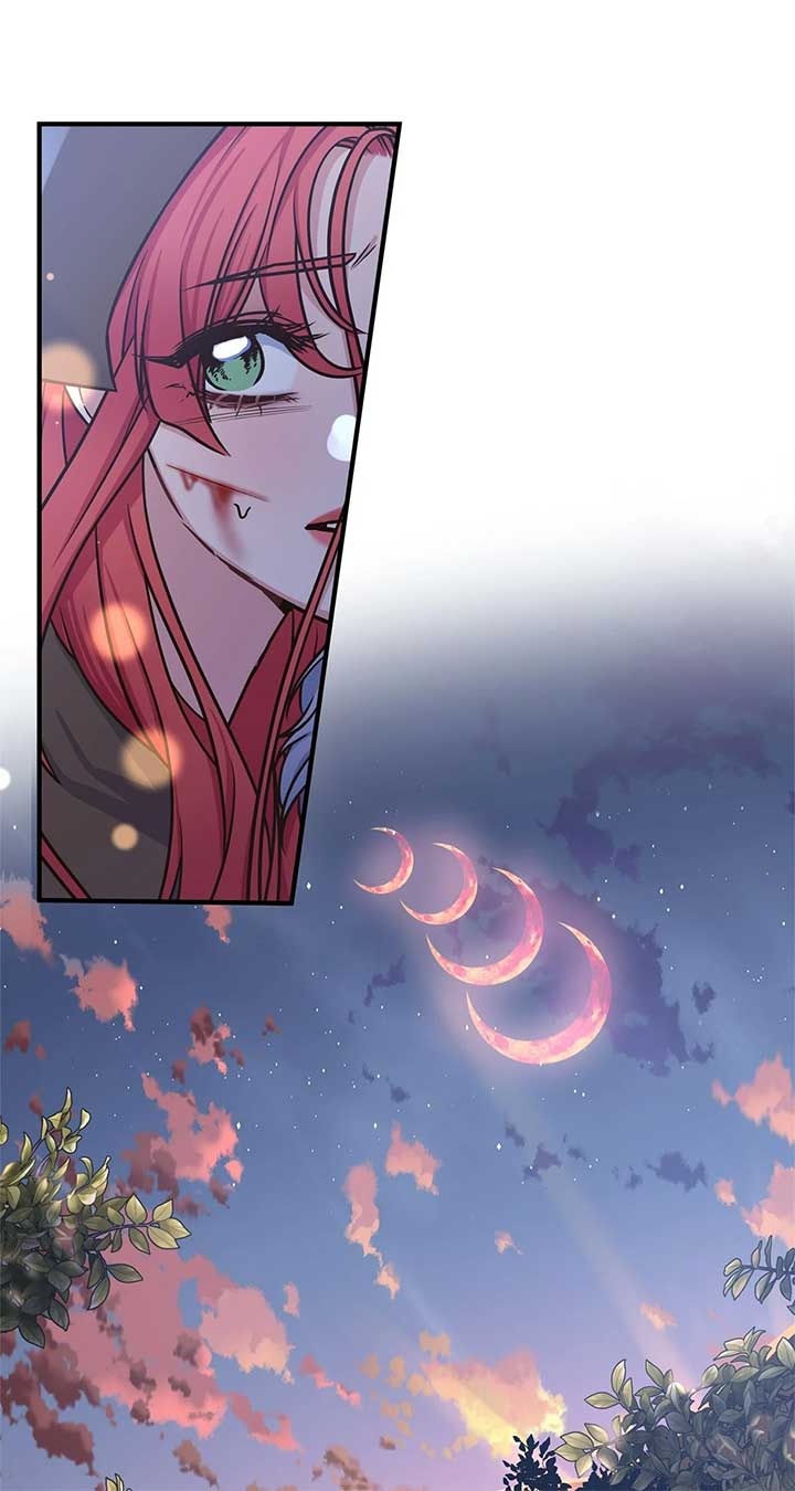 ch 73 31