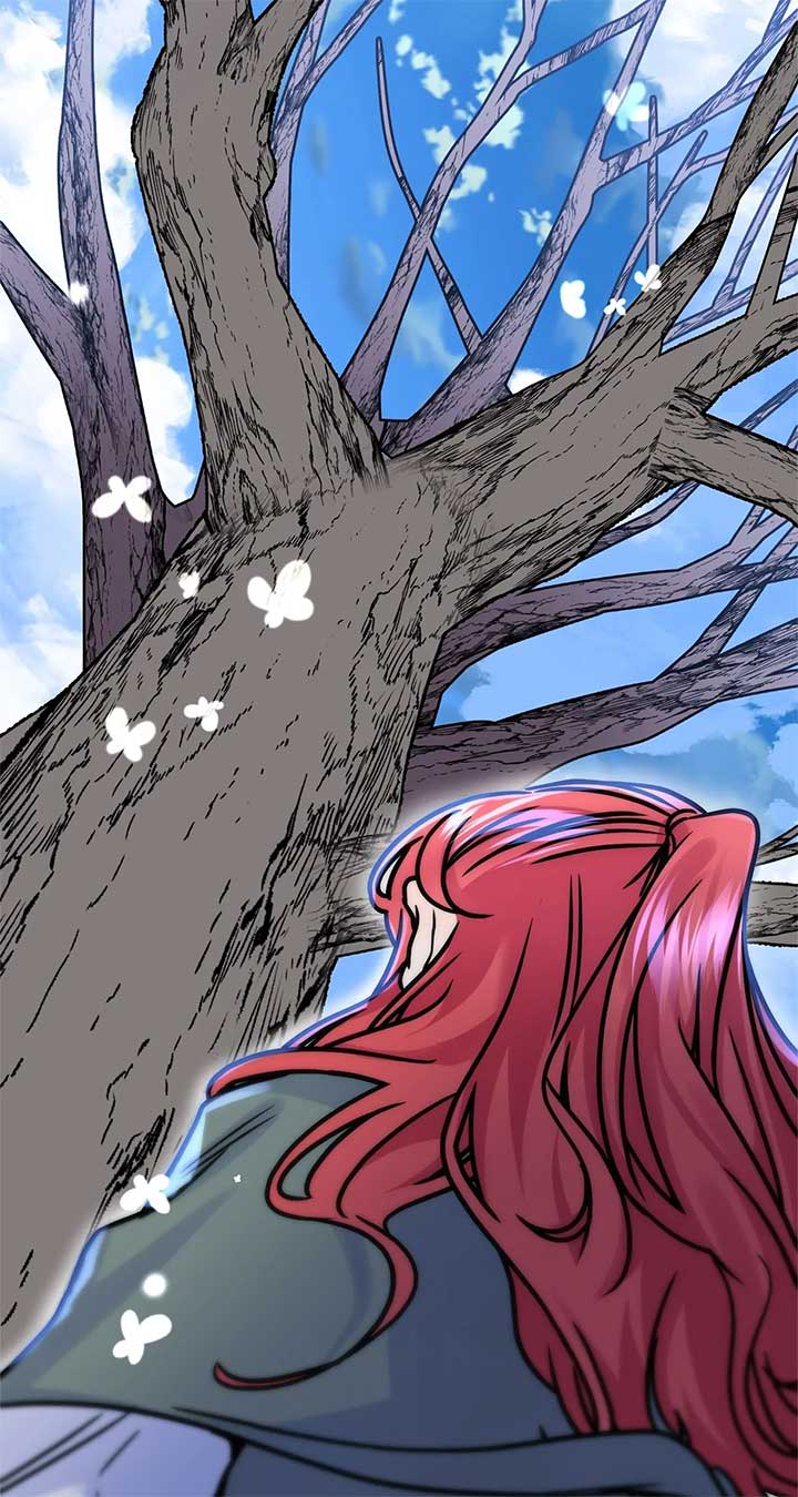 ch 79 15