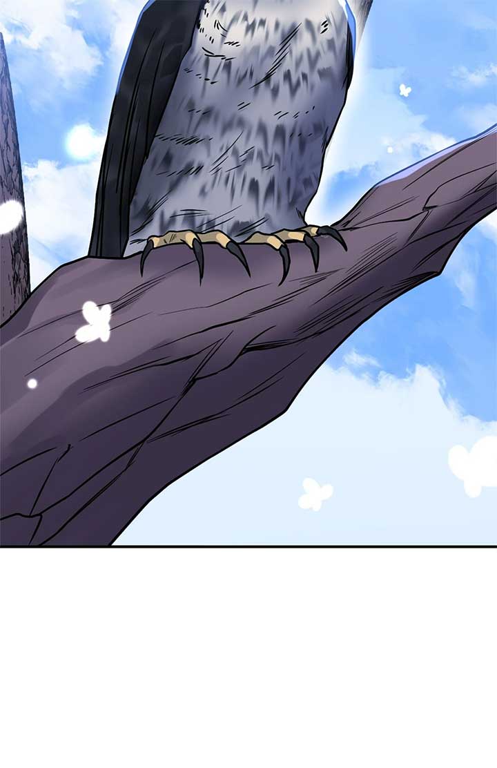 ch 79 21