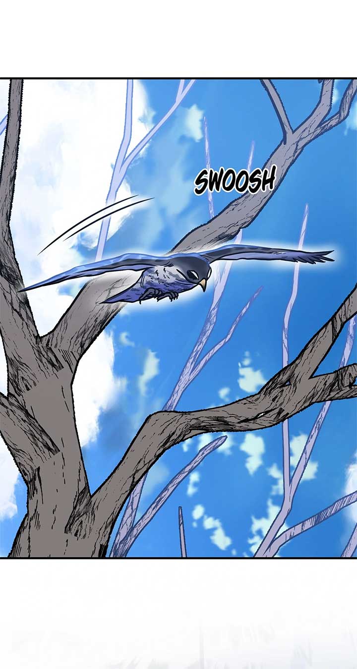 ch 79 35