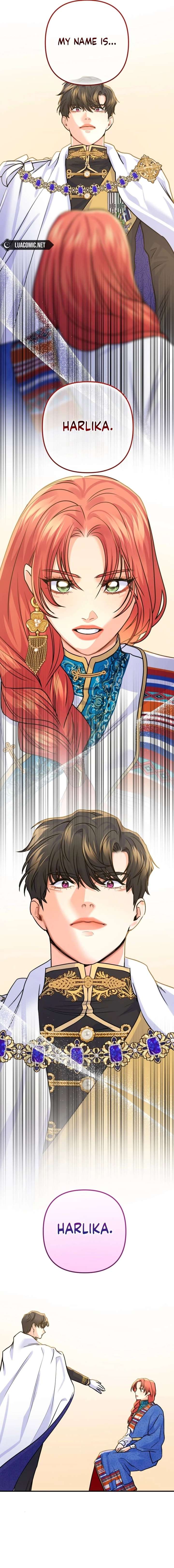ch 85 20