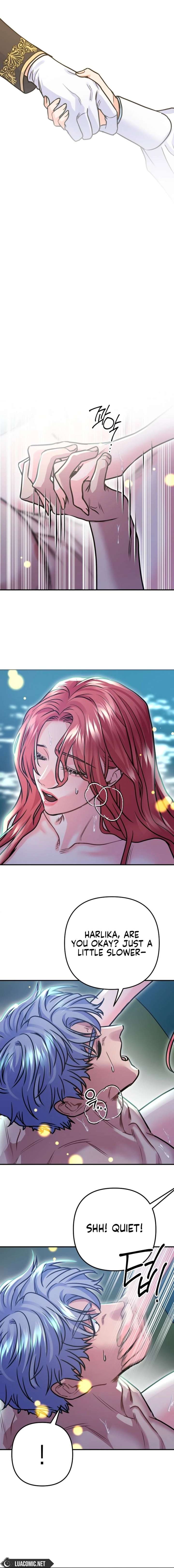 ch 85 21