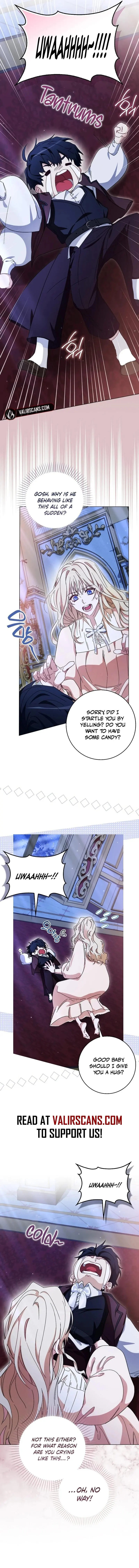 ch 48 8