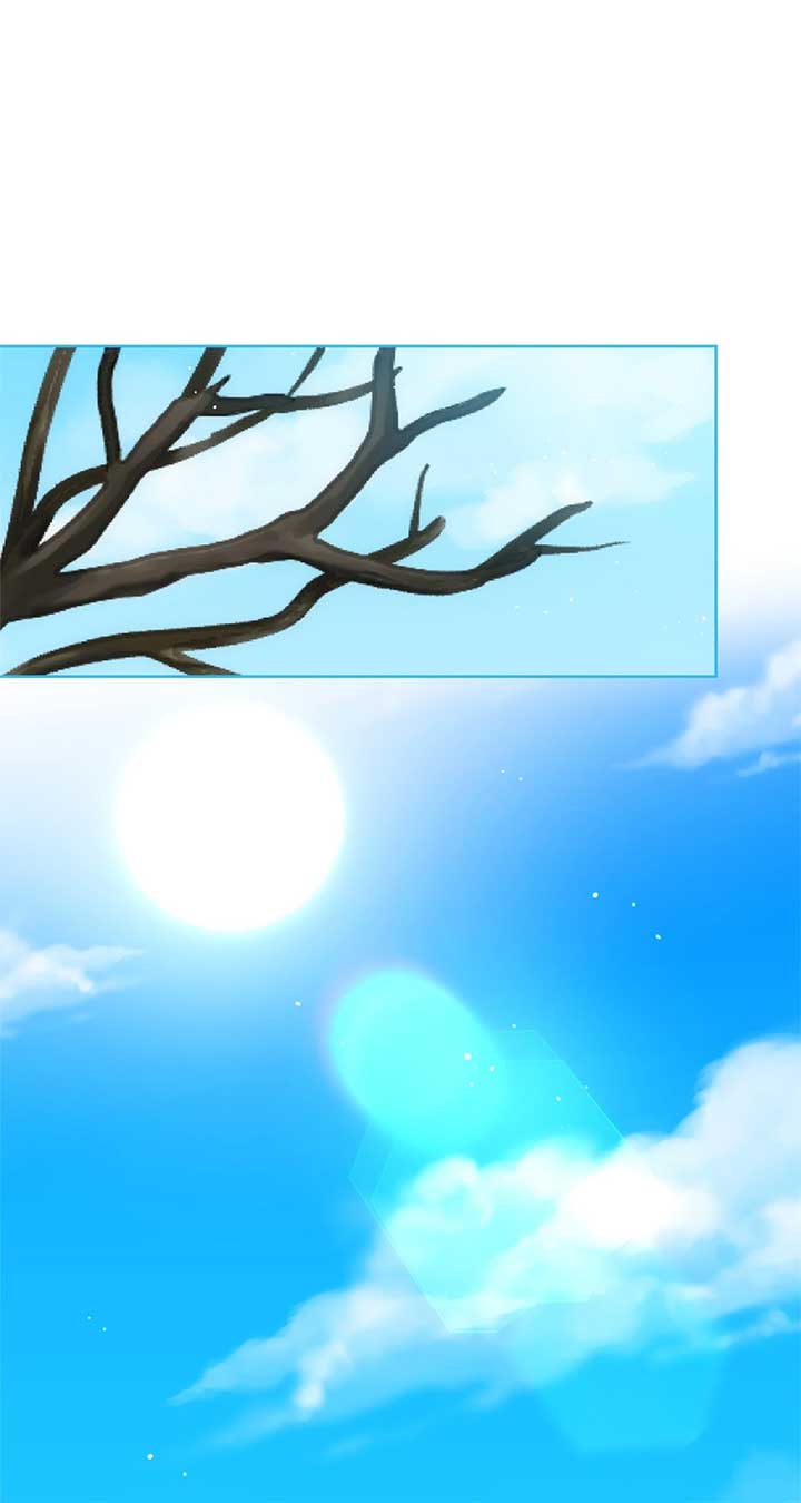 ch 41 1