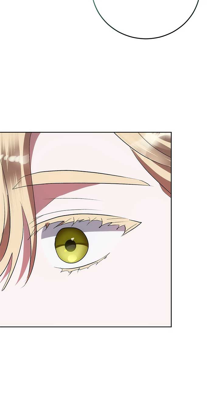 ch 41 63