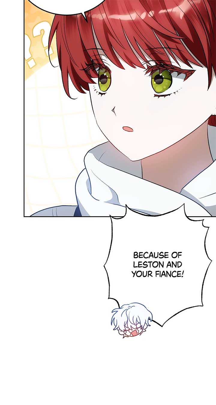 ch 49 52
