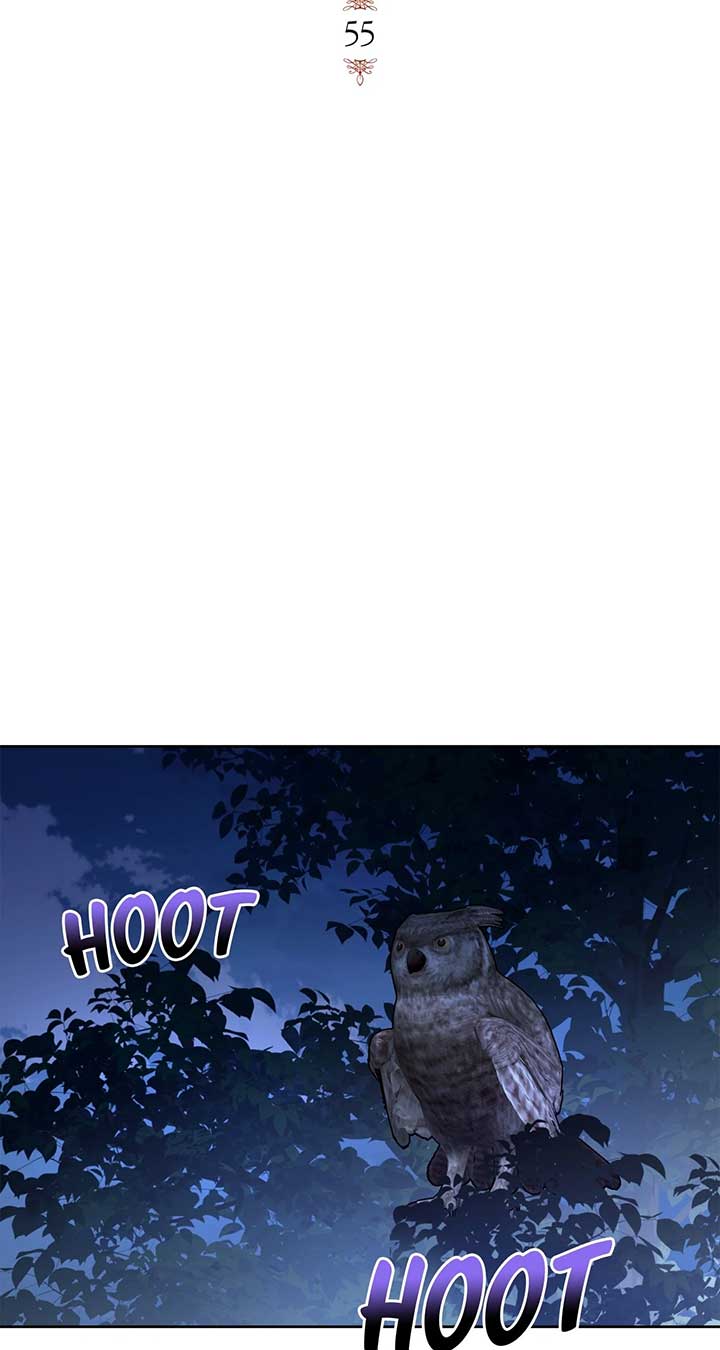 ch 55 24