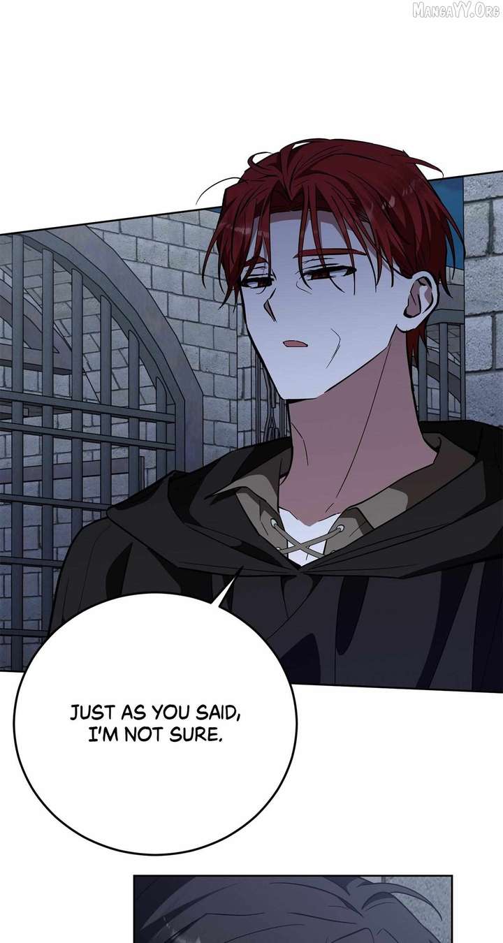 ch 81 1
