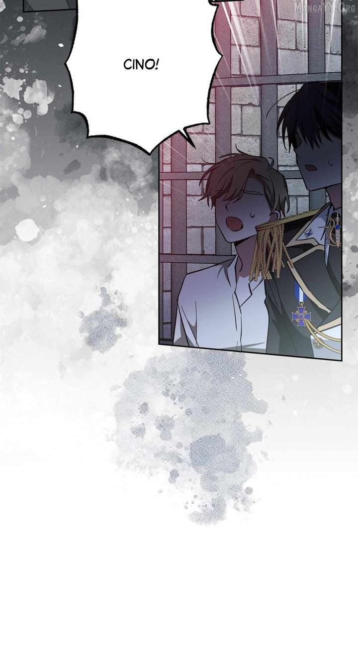 ch 81 26