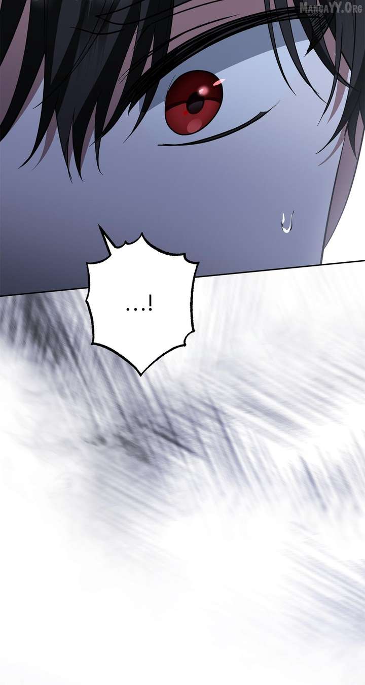 ch 81 3