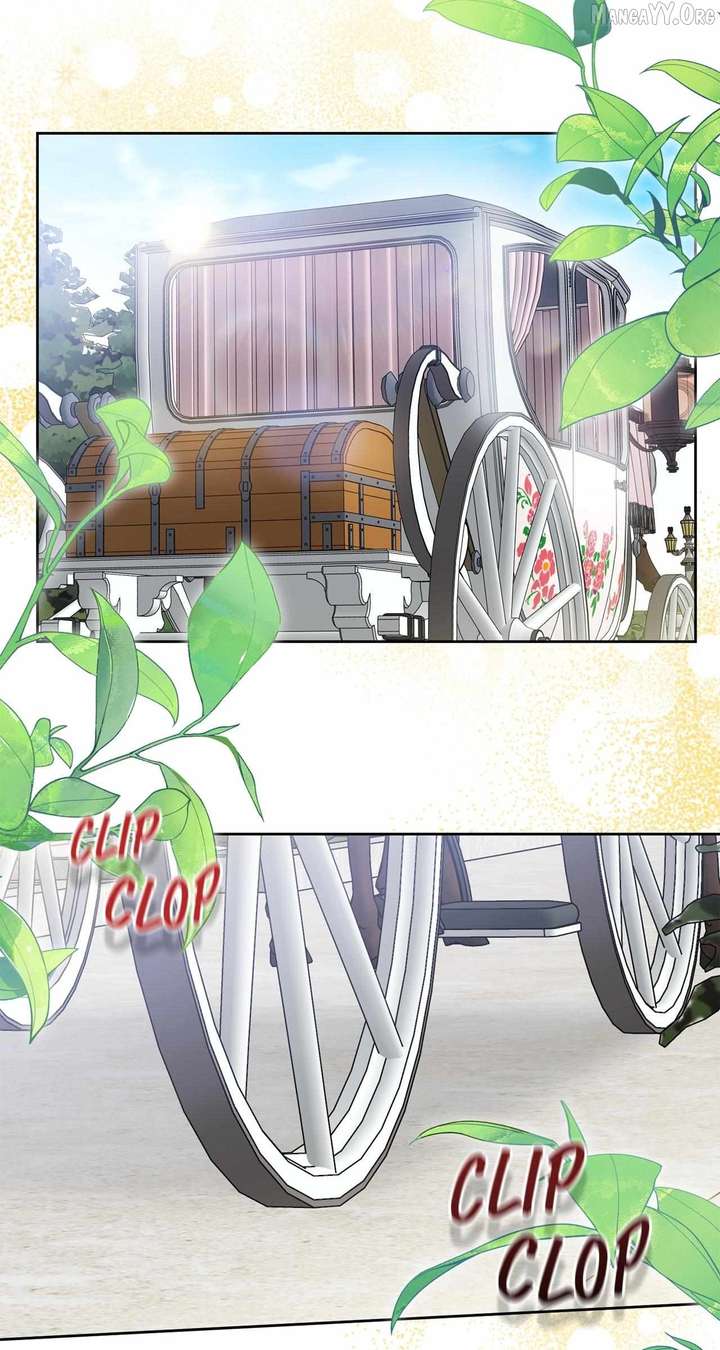 ch 81 54