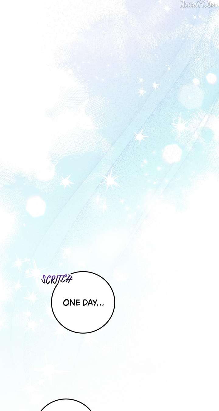 ch 81 63