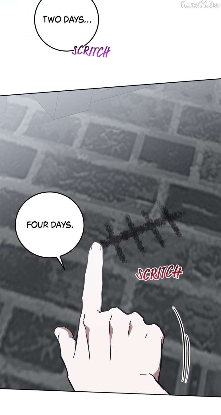 ch 81 64