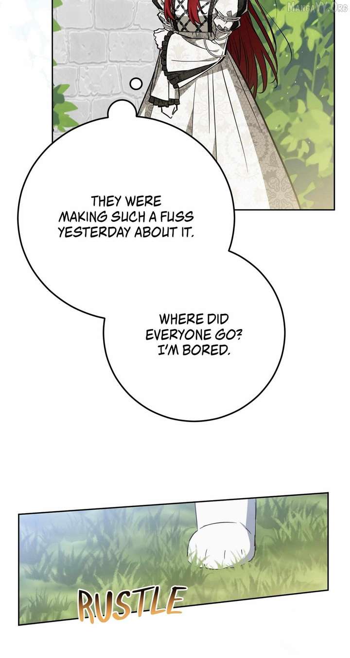 ch 82 24