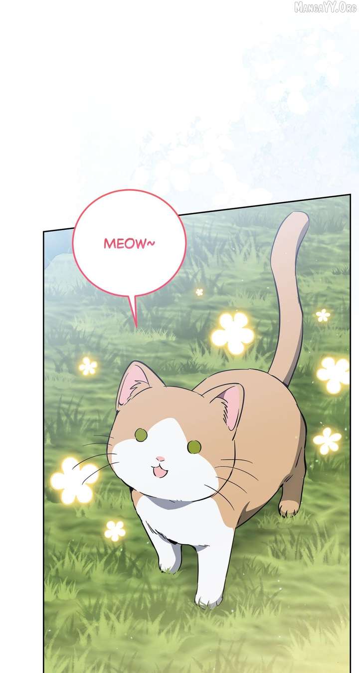 ch 82 25