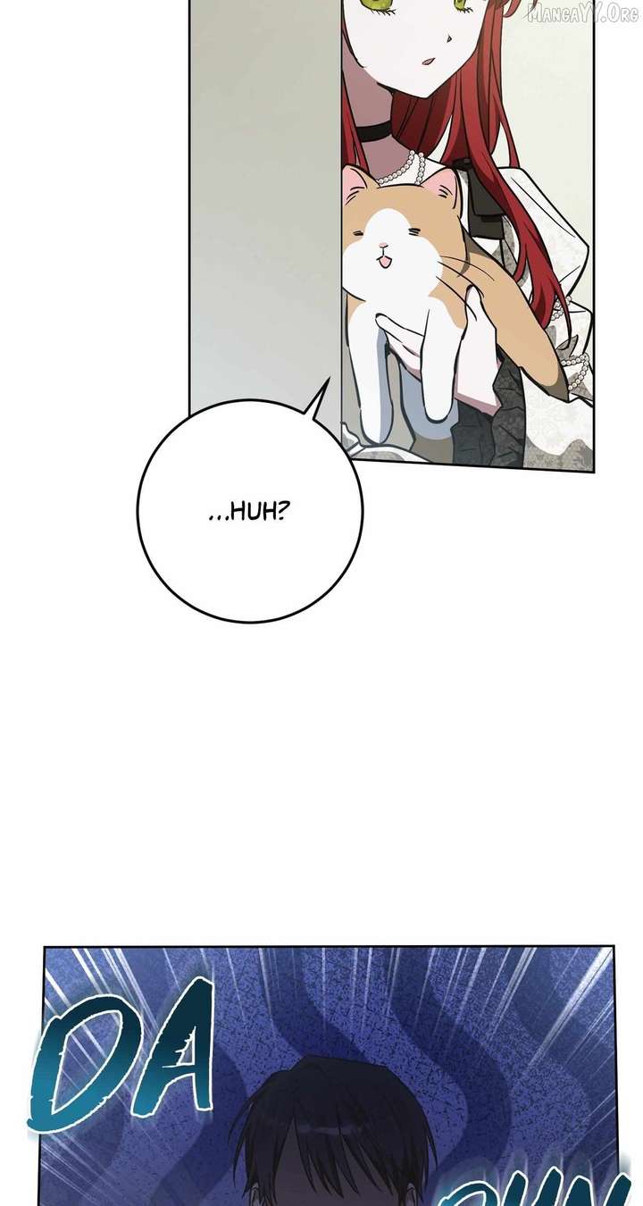 ch 82 31