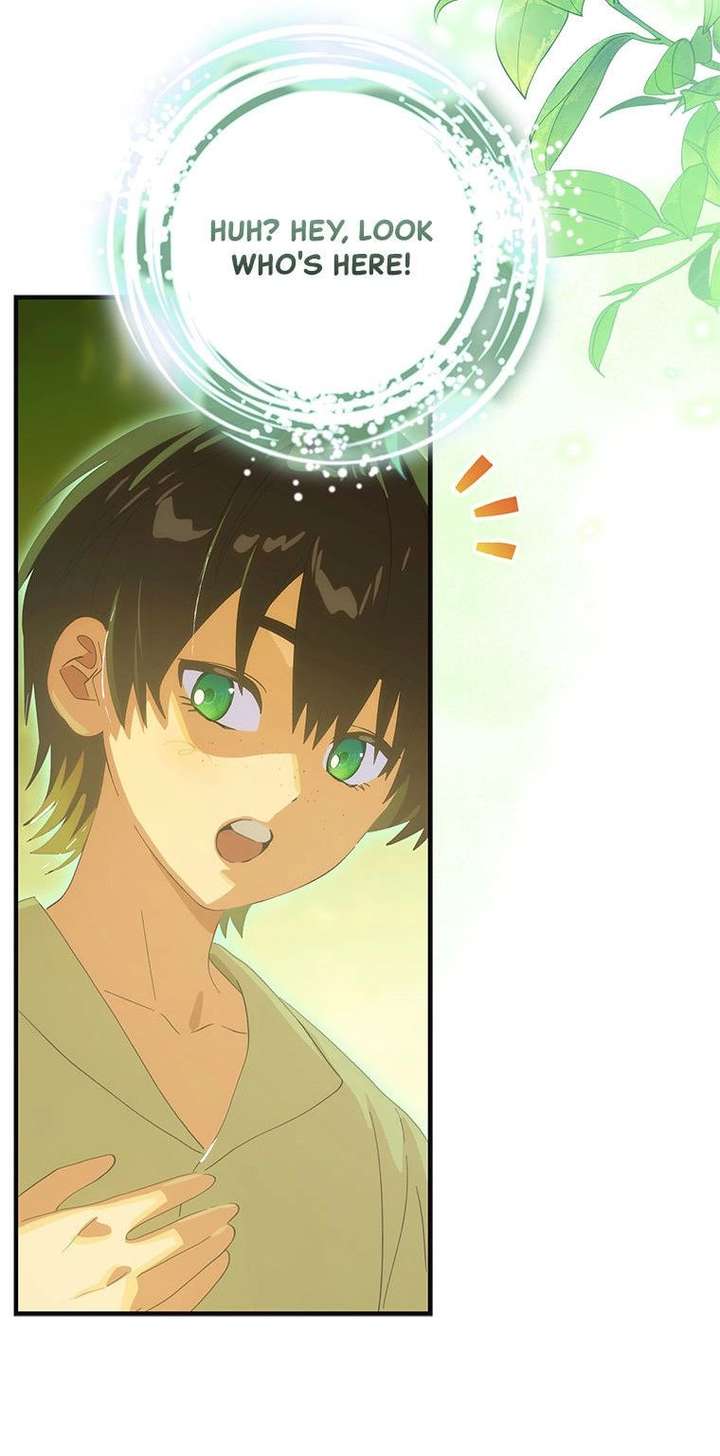 ch 115 2