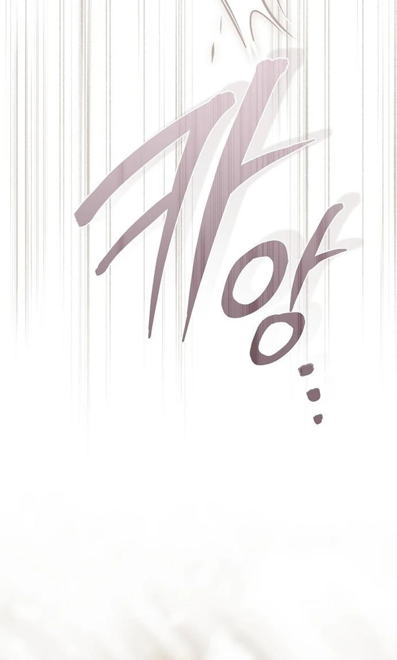 95f8c2f3c523