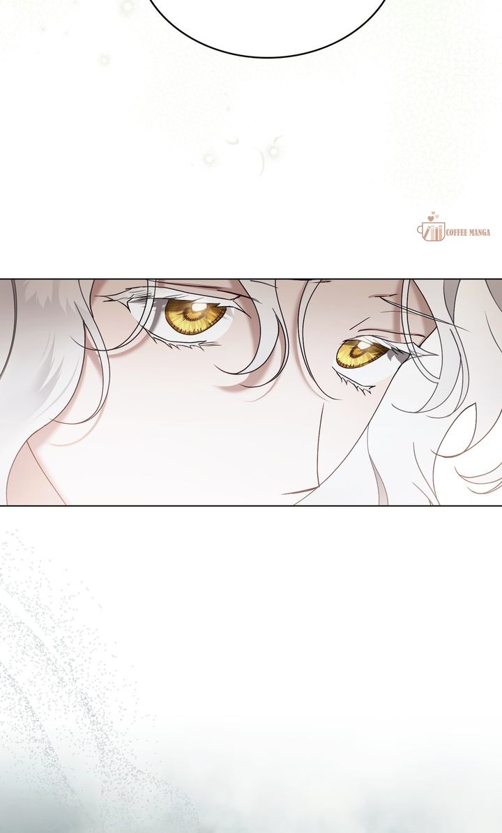 ch 52 61