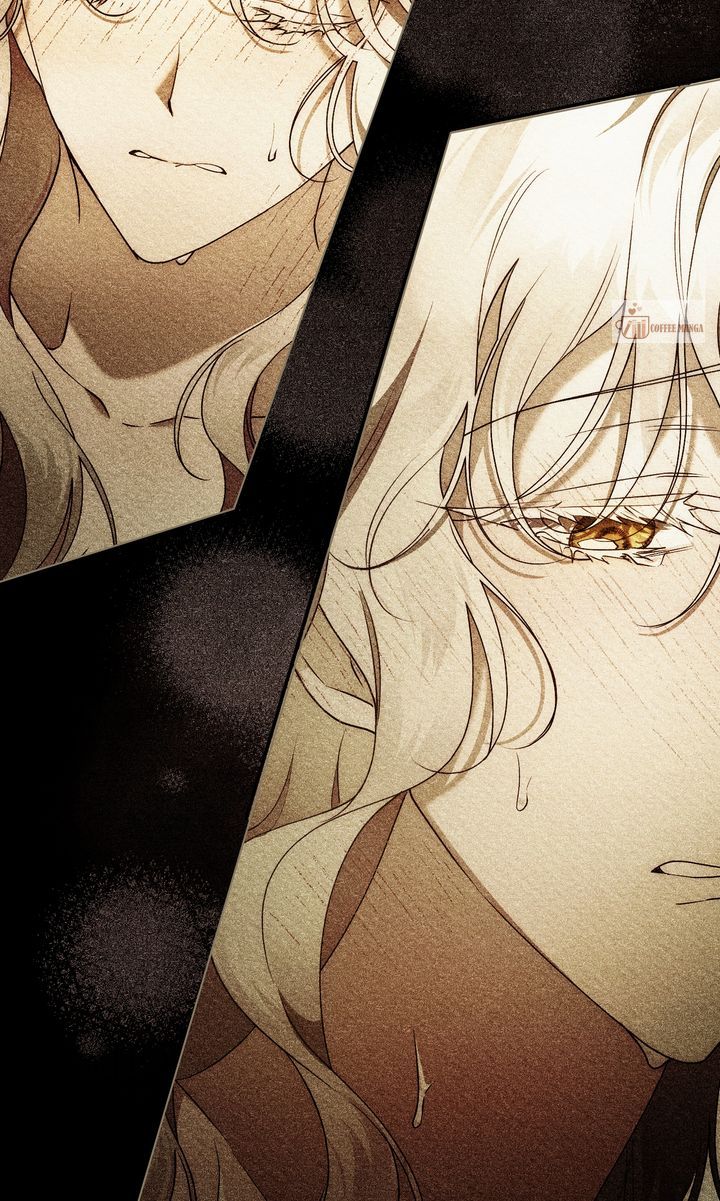 ch 62 26