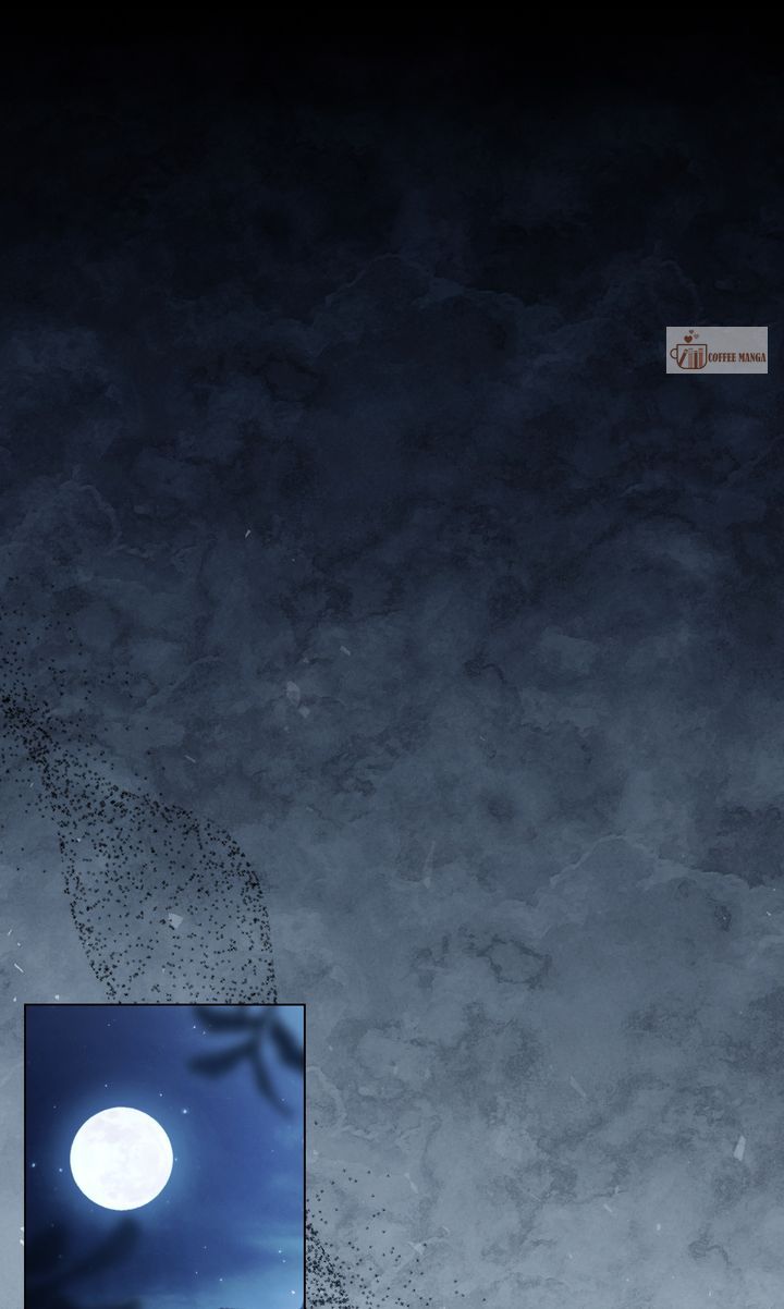 ch 65 1