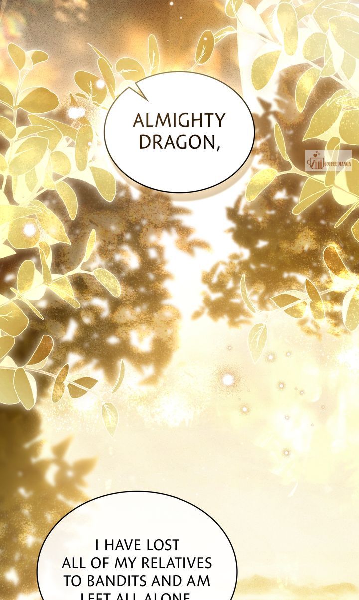 ch 65 39