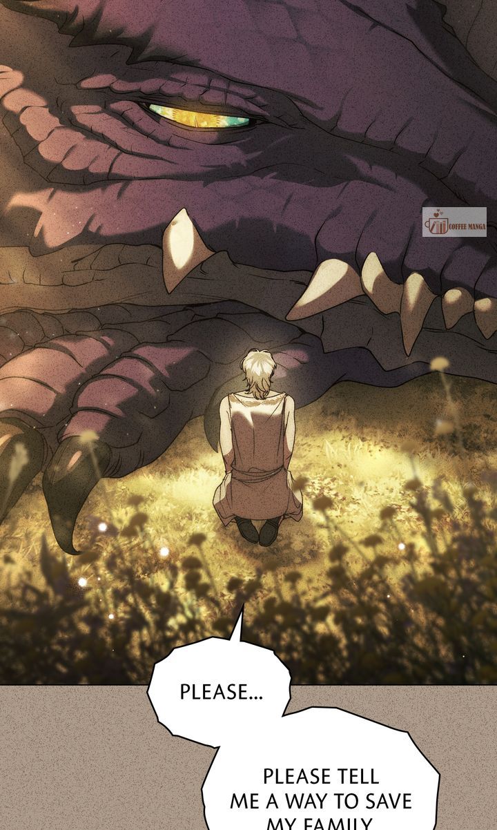 ch 65 41