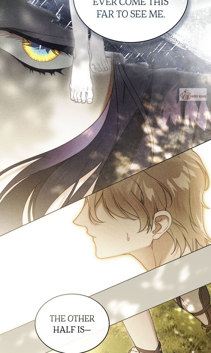 ch 65 54