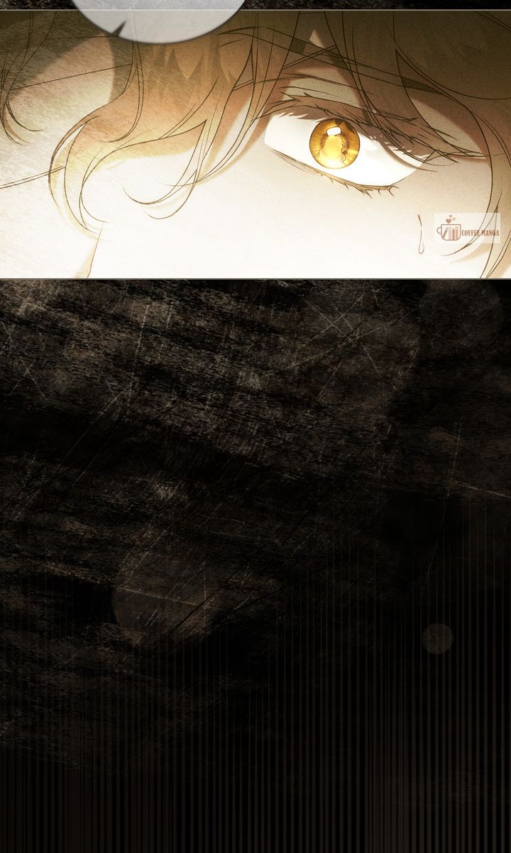 ch 65 72