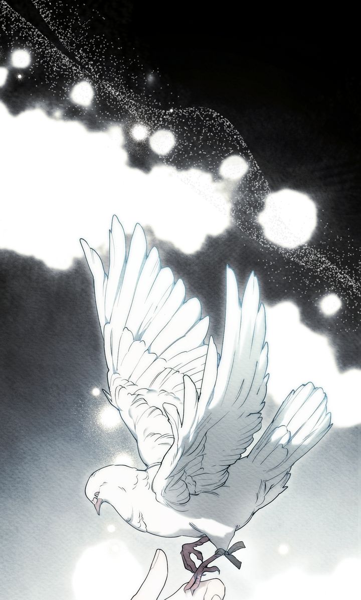 ch 69 3