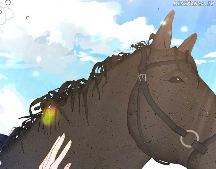 ch 41 82